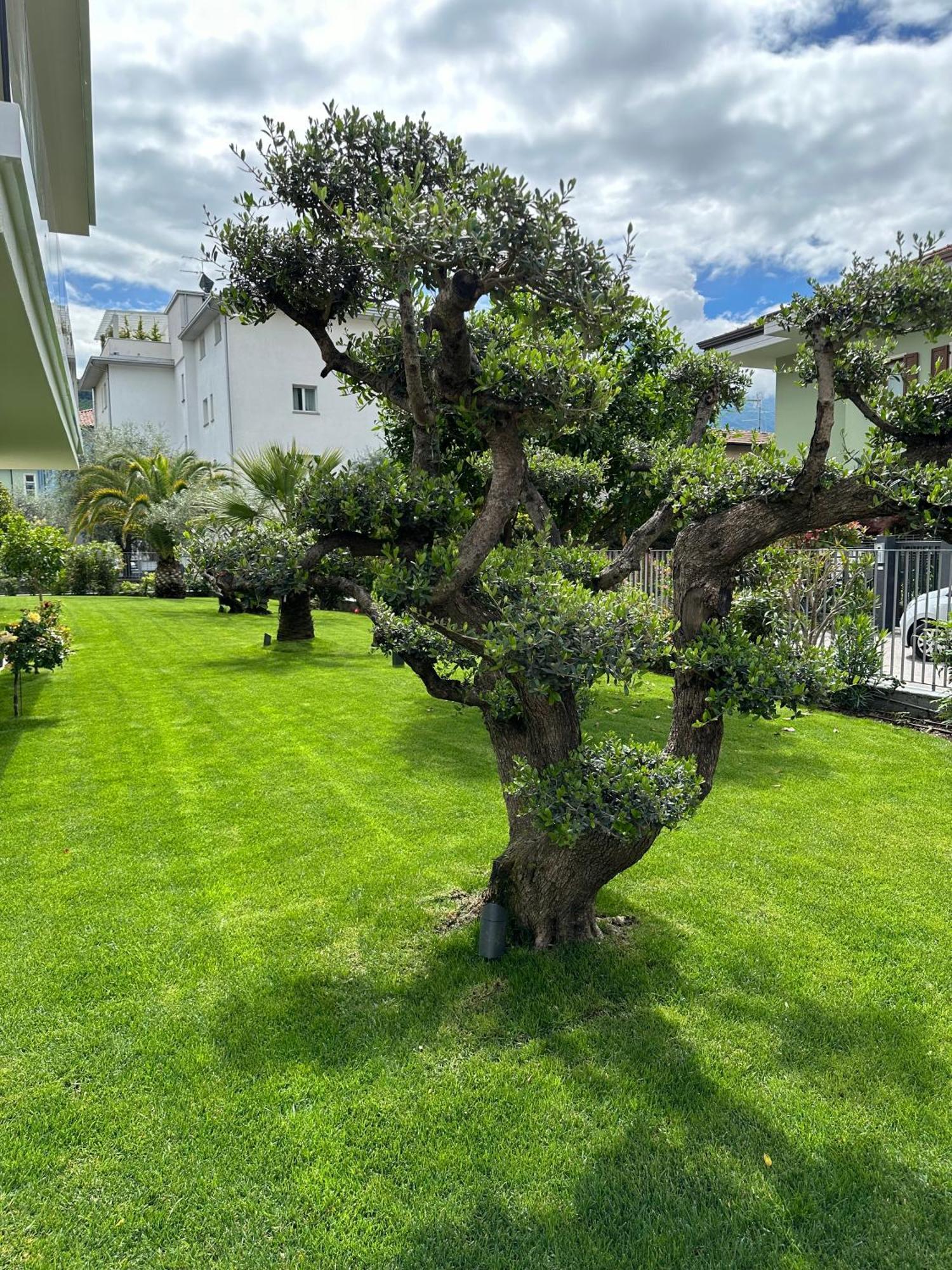 Residence Villa Dalila - Appartamento Dalila 加尔达湖滨 外观 照片