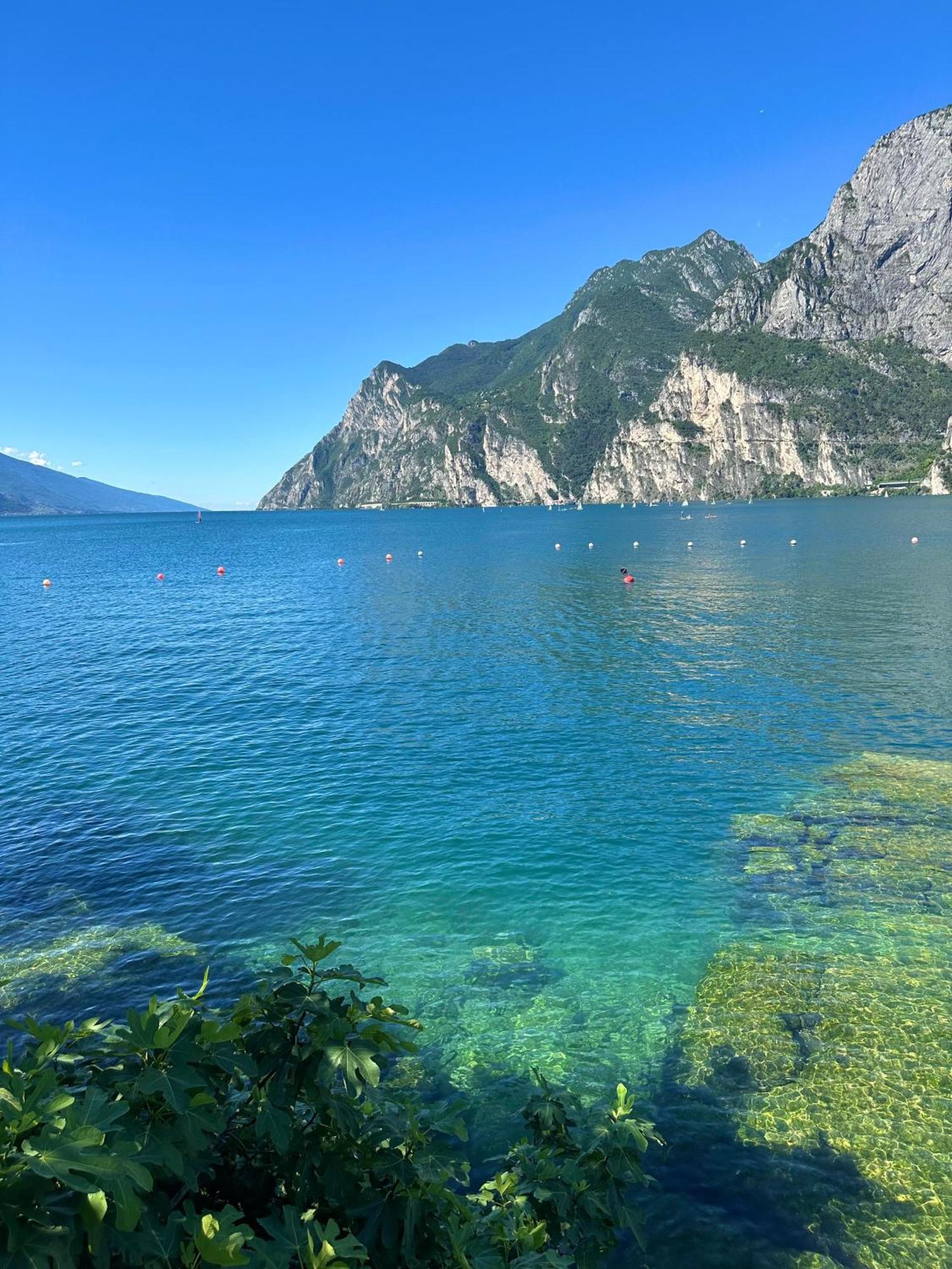 Residence Villa Dalila - Appartamento Dalila 加尔达湖滨 外观 照片