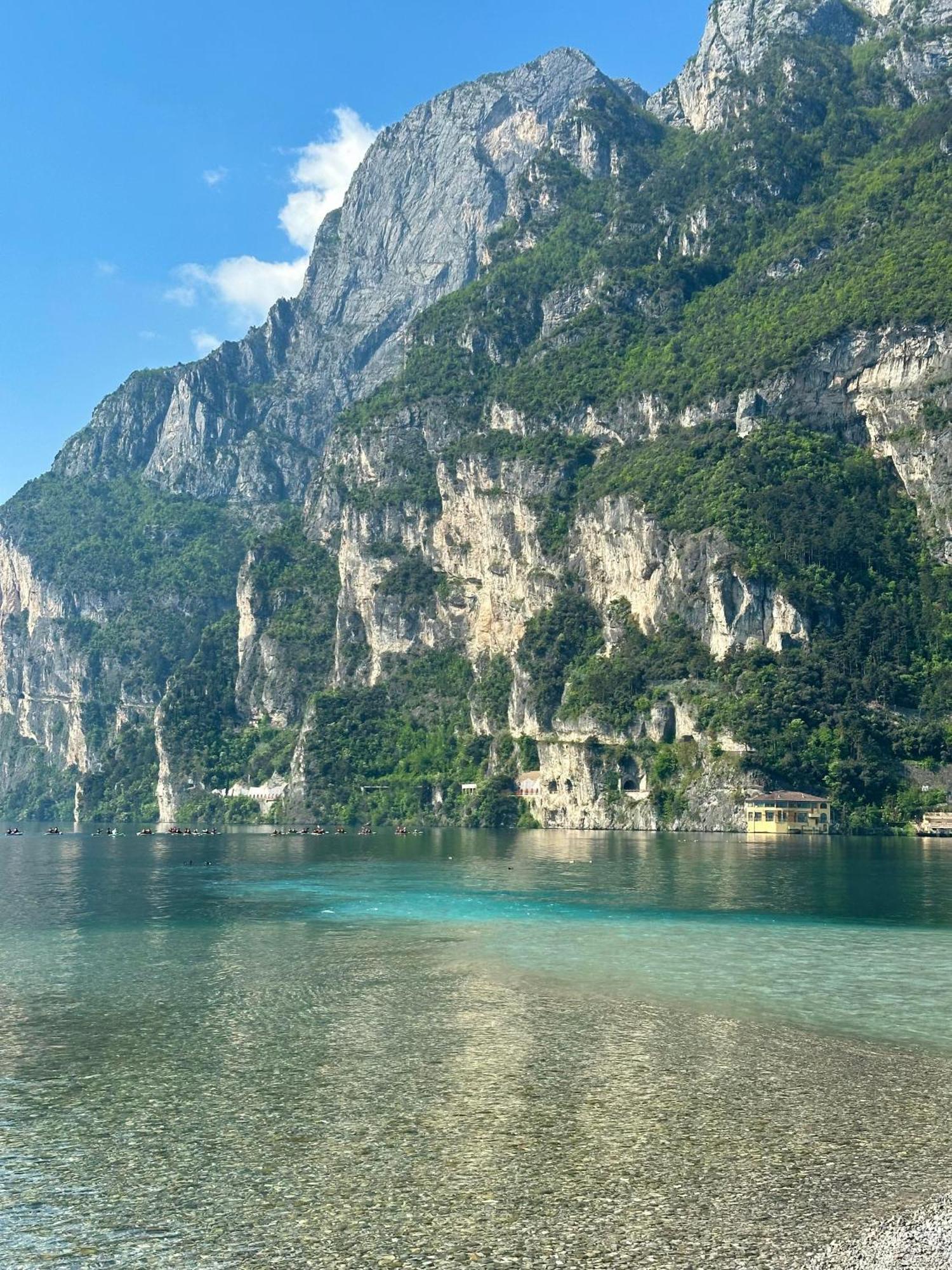 Residence Villa Dalila - Appartamento Dalila 加尔达湖滨 外观 照片
